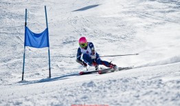 世俱杯直播-德甲球队主教练需要具备哪些资质？资格认证详解